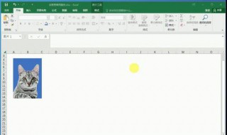 excel更改照片底色如何保存为图片（Excel更改照片底色）