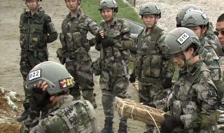 特种兵之火凤凰演员表（特种兵之火凤凰演员表名单）