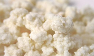 雪莲菇怎么做 雪花菇怎么做
