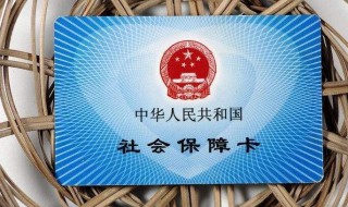 社保卡怎么查询缴费记录 没有电子社保卡怎么查询缴费记录