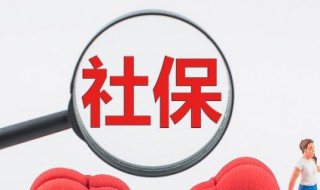 社保账户余额怎么查询（南京社保账户余额怎么查询）