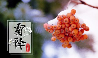 2021霜降节气怎么计算 节气2021日历表霜降