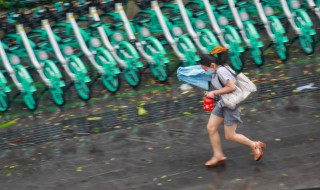 大暴雨预兆 大暴雨预兆人是凶是吉