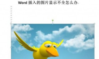 word图片显示不全只有一半怎么办（word图片只能显示一半怎么办）