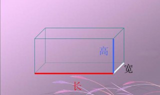 长方体有4组长宽高对吗（长方体有四组长宽高正确还是错误）
