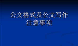 公文写签发人的格式（公文写签发人的格式是什么）