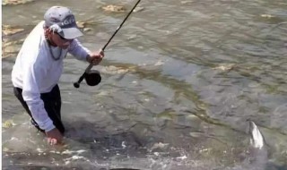 浮漂调目饵料钩重关系 钩重和浮漂调目的关系