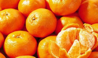 芦柑和橘子有什么区别 芦柑和橘子有什么区别呢