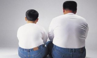 肥胖症和肥胖的区别 肥胖症和肥胖的区别是什么