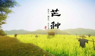 什么时候芒种（什么时候芒种节气）