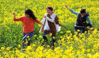 清明节去哪里旅行（清明节去哪里旅行合适）