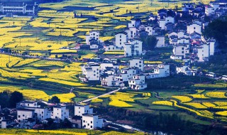 清明节去哪里踏青（清明节去哪里踏青比较好）