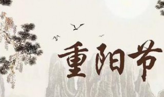 重阳节的主要习俗（重阳节的主要风俗是什）