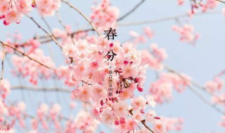 春分下雨还会冷吗 春分一定会下雨吗