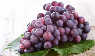 吃紫葡萄有什么好处 吃紫葡萄有什么好处和功效