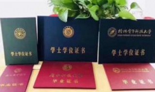 大专是什么学历与文化程度 大专文化还是大专学历