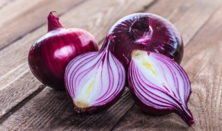 洋葱英语怎么读onion 洋葱英语怎么读onion复数