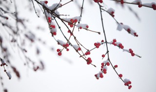 赏雪的朋友圈说说 赏雪的朋友圈说说怎么发