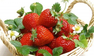 草莓什么时候成熟 大棚草莓什么时候成熟