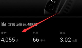 荣耀手环5心率不同步（荣耀手环5心率不同步怎么办）