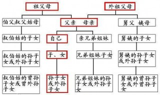 直系亲属包括哪些人 入党政审直系亲属包括哪些人