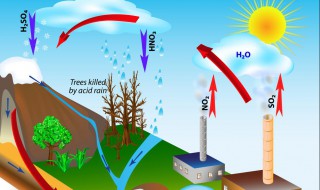 酸雨产生的原因（导致酸雨产生的原因）
