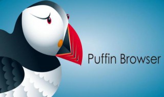 puffin怎么玩网页游戏（puffin玩不了网页游戏）