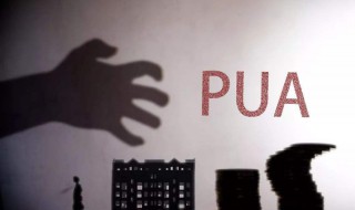 pua是什么意思（pua是什么意思 精神压迫）