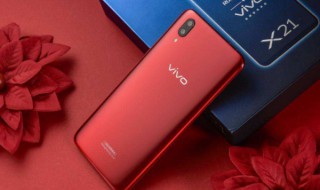 vivox21a数据线型号 vivox21a的数据线是什么型号