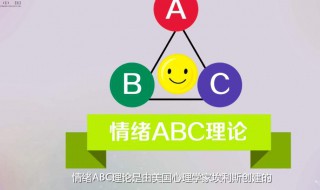 ABC理论中可以用来调整信念的是（abc理论认为可以通过调整）