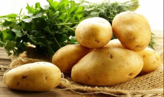 土豆如何做既营养又减肥（土豆如何做既营养又减肥视频）
