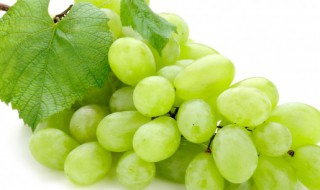 grapes怎么读（apples怎么读）