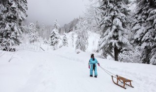 下雪文案短句干净治愈（下雪文案短句干净治愈英文）