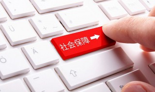 社保卡开户行怎么查询（社保卡开户行怎么查询电话）