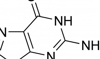 碱基被替换氨基酸序列没改变的原因（氨基酸序列不变）