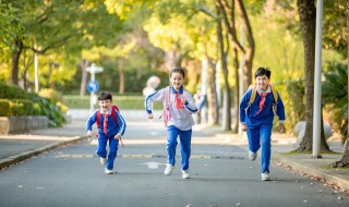 安全提醒内容（小学生每日安全提醒内容）