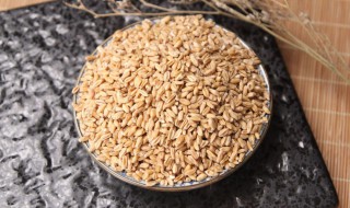 小麦的贮藏特性与贮藏方法（小麦的贮藏特性与贮藏方法视频）