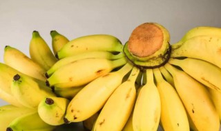 粉蕉的营养价值（芭蕉粉蕉香蕉的营养区别）