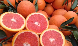 血橙的营养价值（血橙的营养价值高吗）