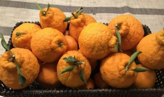 福橘的营养价值（福橘的功效）