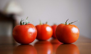 番茄是水果还是蔬菜 番茄是水果还是蔬菜辩论