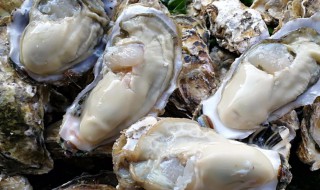 牡蛎的功效与作用及做法 牡蛎的功效与作用及做法大全