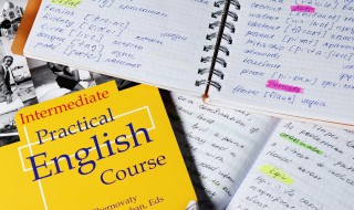 学校的英语怎么读 柳树学校的英语怎么读