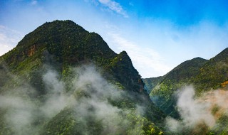 山高路远什么意思（我只剩玫瑰一片 此行又山高路远什么意思）