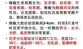 辣椒花芽分化不好是什么情况（辣椒花芽分化不好是什么情况造成的）