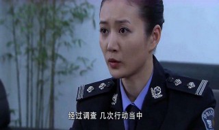 督察队长住宾馆报警是哪一集（督察队长住宾馆第几集）