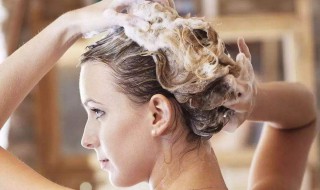 精油护发的使用方法 薰衣草精油护发的使用方法