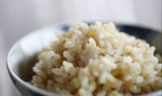 糙米热量高为什么减肥（糙米热量高为什么减肥吃糙米）