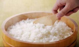 白粥和米饭哪个热量高 白粥和米饭哪个热量高些