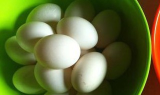 鸽蛋比鸡蛋有营养吗 鸽蛋比鸡蛋更有营养